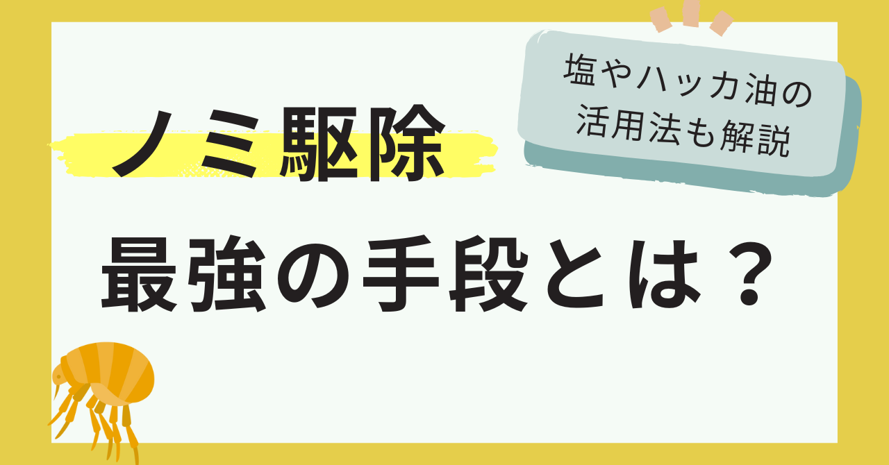 ノミ駆除最強の手段とは？塩やハッカ油の活用法も解説