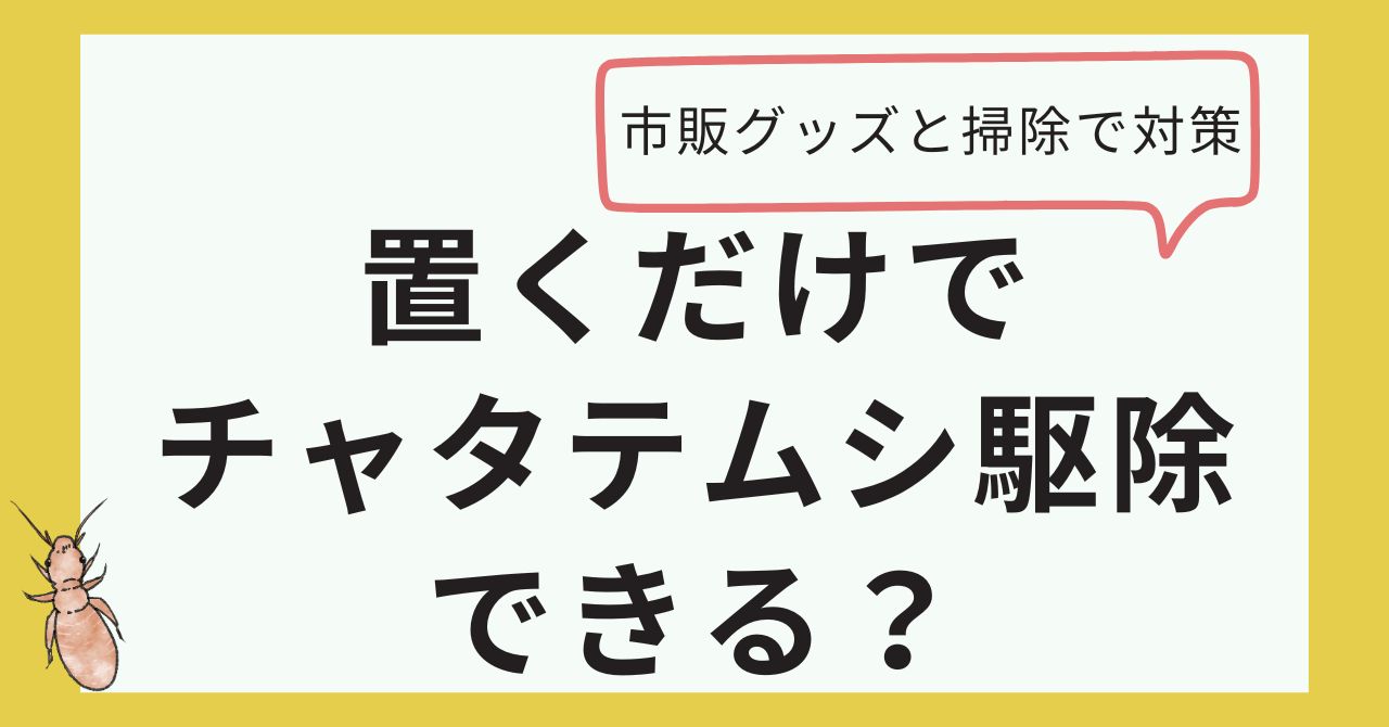 置くだけでチャタテムシ駆除できる？市販グッズと掃除で対策