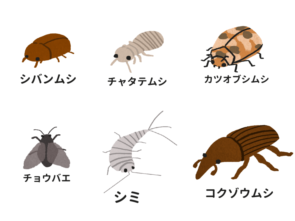 置くだけでチャタテムシ駆除できる？市販グッズと掃除で対策